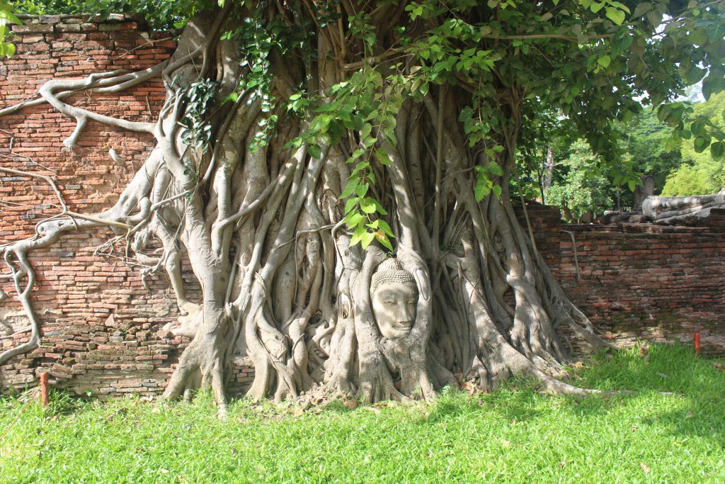 Ayutthaya
