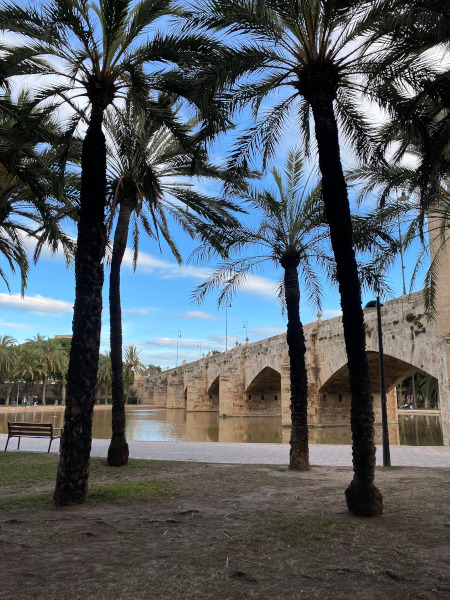 Jardin de Turia